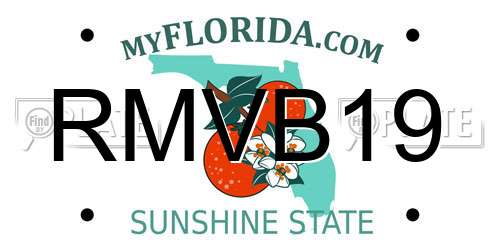 RMVB19 Florida License Plate