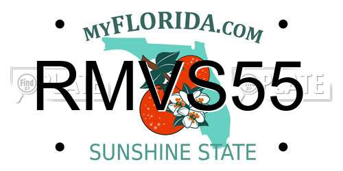 RMVS55 Florida License Plate