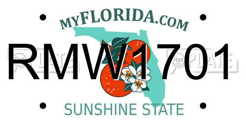RMW1701 Florida License Plate