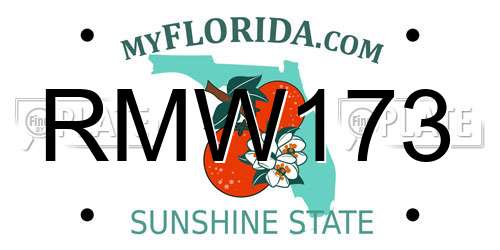 RMW173 Florida License Plate