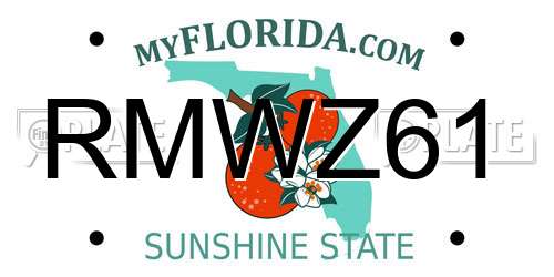 RMWZ61 Florida License Plate