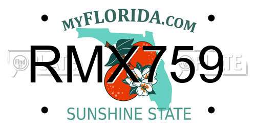 RMX759 Florida License Plate