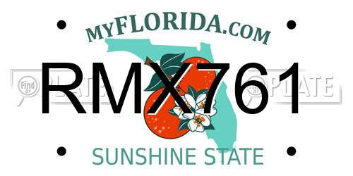 RMX761 Florida License Plate