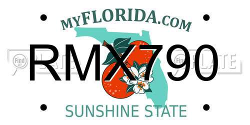RMX790 Florida License Plate