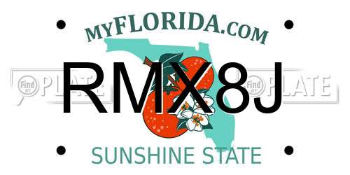 RMX8J Florida License Plate