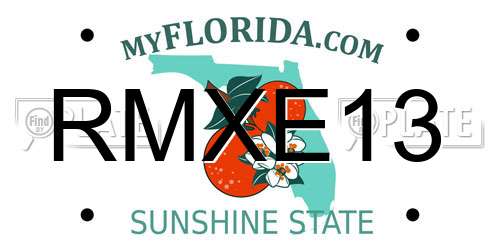 RMXE13 Florida License Plate