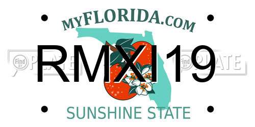RMXI19 Florida License Plate