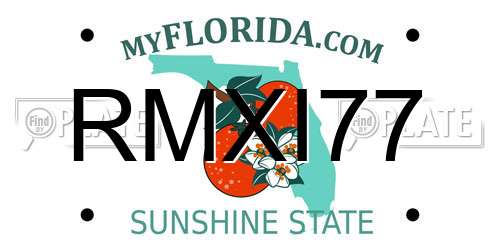 RMXI77 Florida License Plate