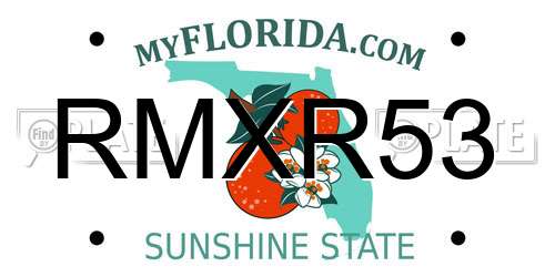 RMXR53 Florida License Plate