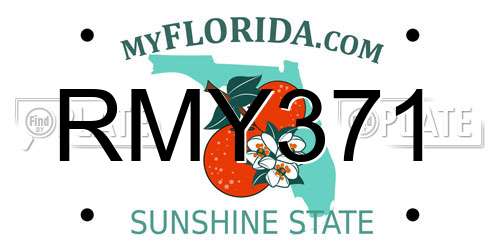 RMY371 Florida License Plate