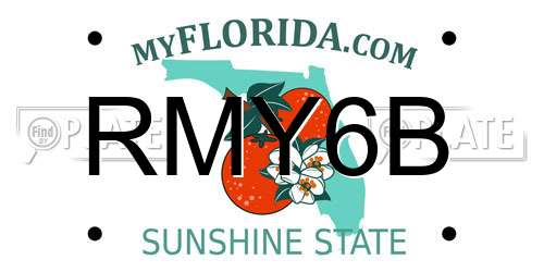 RMY6B Florida License Plate