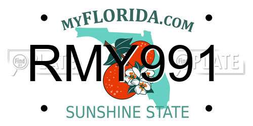 RMY991 Florida License Plate
