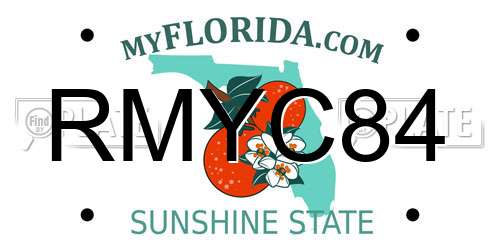 RMYC84 Florida License Plate