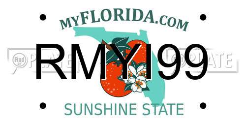 RMYI99 Florida License Plate