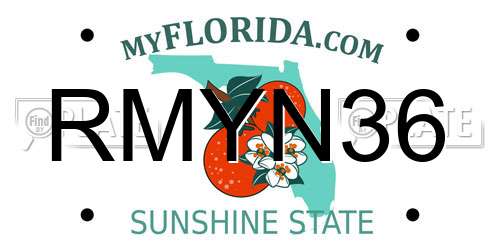 RMYN36 Florida License Plate