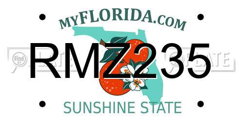 RMZ235 Florida License Plate