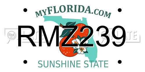 RMZ239 Florida License Plate