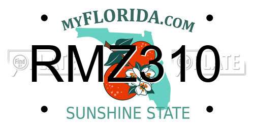 RMZ310 Florida License Plate