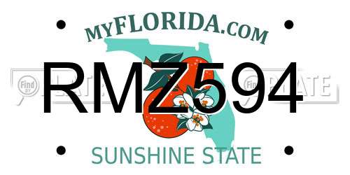 RMZ594 Florida License Plate