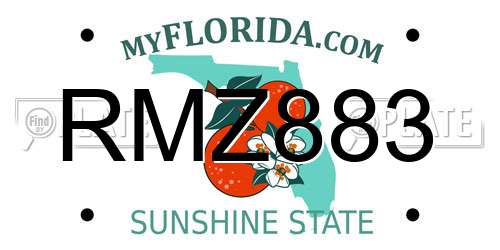 RMZ883 Florida License Plate
