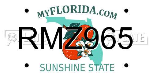 RMZ965 Florida License Plate