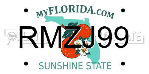 RMZJ99 Florida License Plate