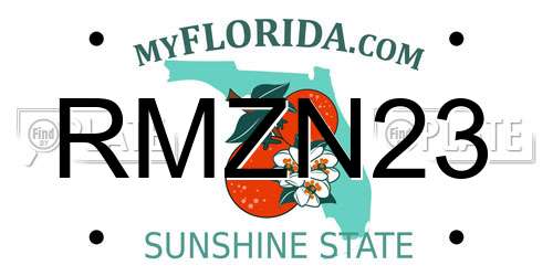 RMZN23 Florida License Plate