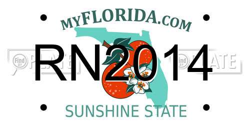 RN2014 Florida License Plate