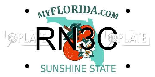 RN3C Florida License Plate