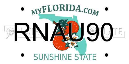 RNAU90 Florida License Plate