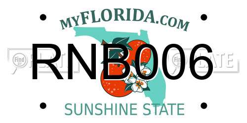 RNB006 Florida License Plate