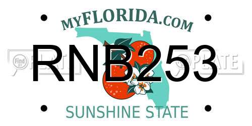 RNB253 Florida License Plate