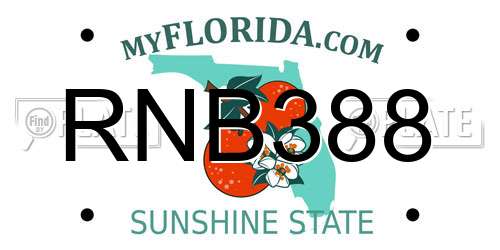 RNB388 Florida License Plate