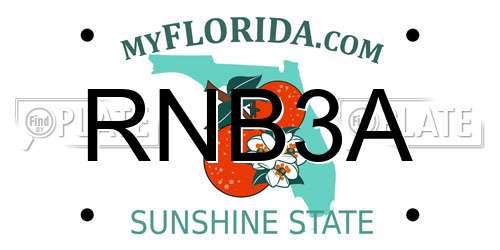 RNB3A Florida License Plate
