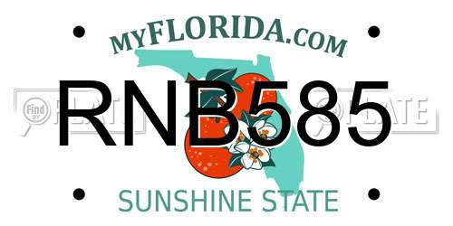 RNB585 Florida License Plate