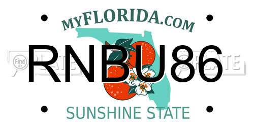 RNBU86 Florida License Plate