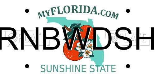 RNBWDSH Florida License Plate