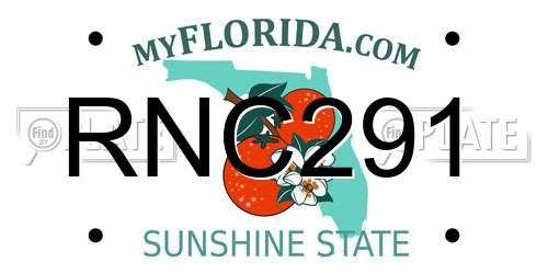 RNC291 Florida License Plate