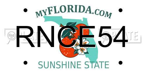 RNCE54 Florida License Plate