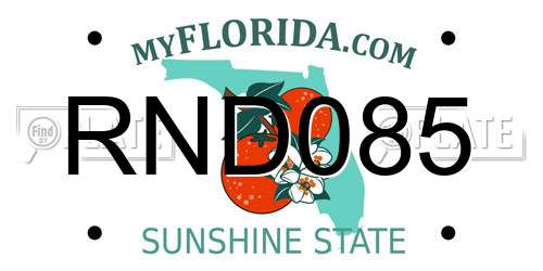 RND085 Florida License Plate