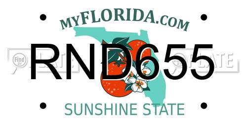 RND655 Florida License Plate