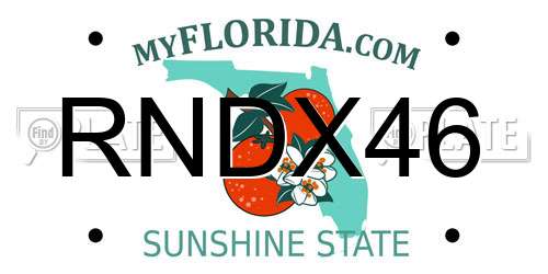 RNDX46 Florida License Plate