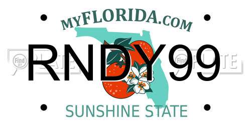 RNDY99 Florida License Plate