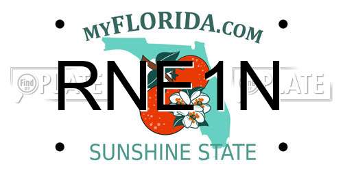 RNE1N Florida License Plate