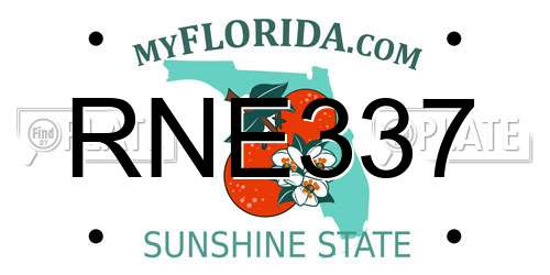 RNE337 Florida License Plate