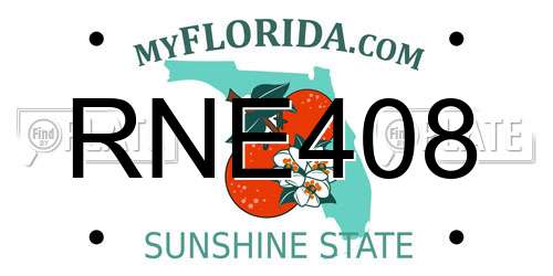 RNE408 Florida License Plate