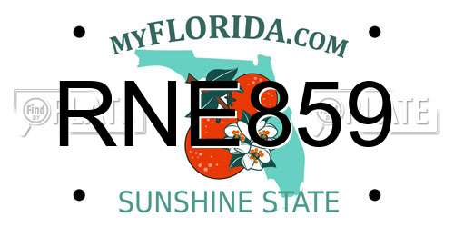 RNE859 Florida License Plate
