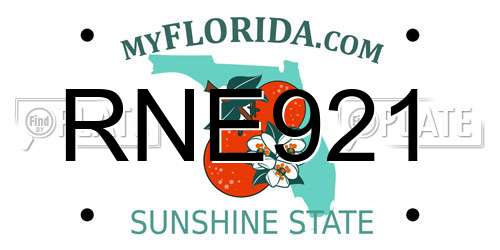 RNE921 Florida License Plate