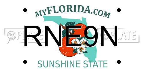 RNE9N Florida License Plate
