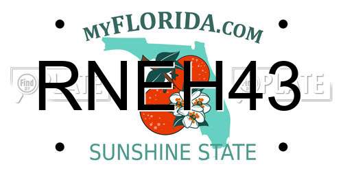 RNEH43 Florida License Plate